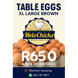 Farm Fresh Eggs