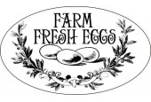 Table Eggs